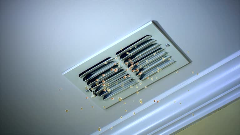 Best Professional Duct Cleaning Services  in Sunny Isles Beach, FL