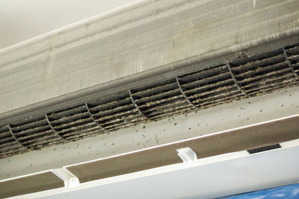 Best Emergency Air Duct Cleaning  in Sunny Isles Beach, FL