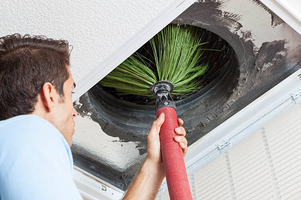 Best Affordable Air Duct Cleaning  in Sunny Isles Beach, FL